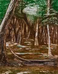 Catherine Wilson Forest image