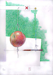 Robert Offord - Apple Balance picture